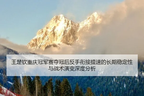 王楚钦重庆冠军赛夺冠后反手衔接提速的长期稳定性与战术演变深度分析